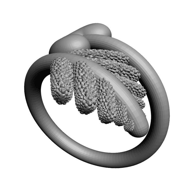 картинка Кольцо RY2-042 3D-STL.COM