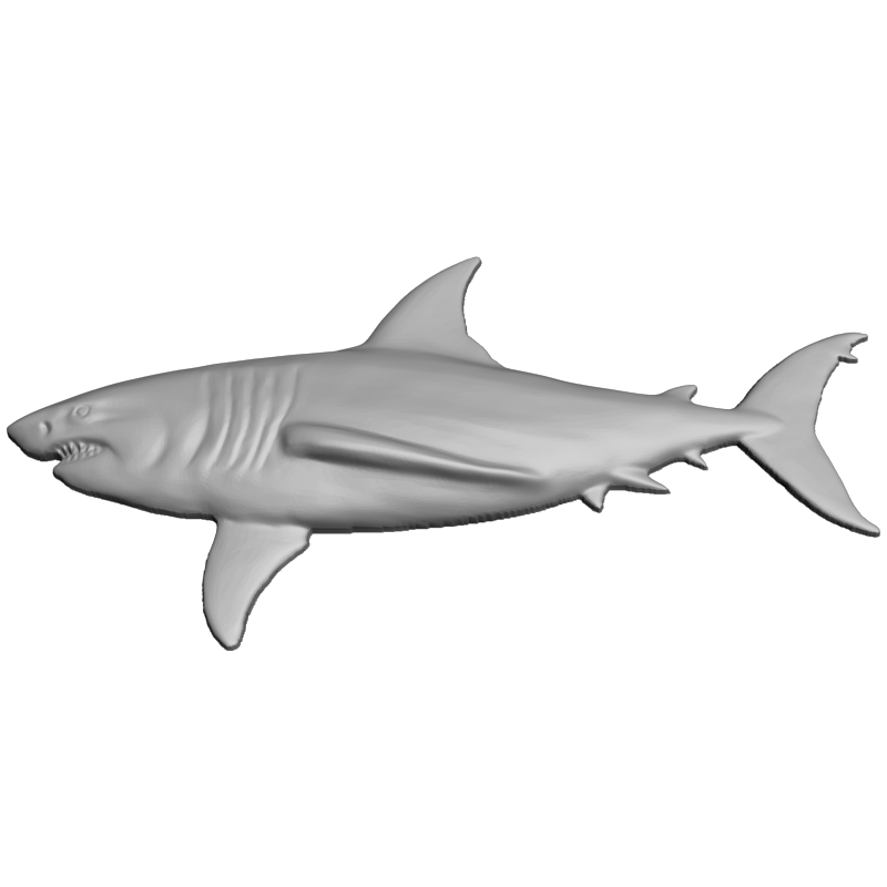 картинка Акула F5-037 3D-STL.COM