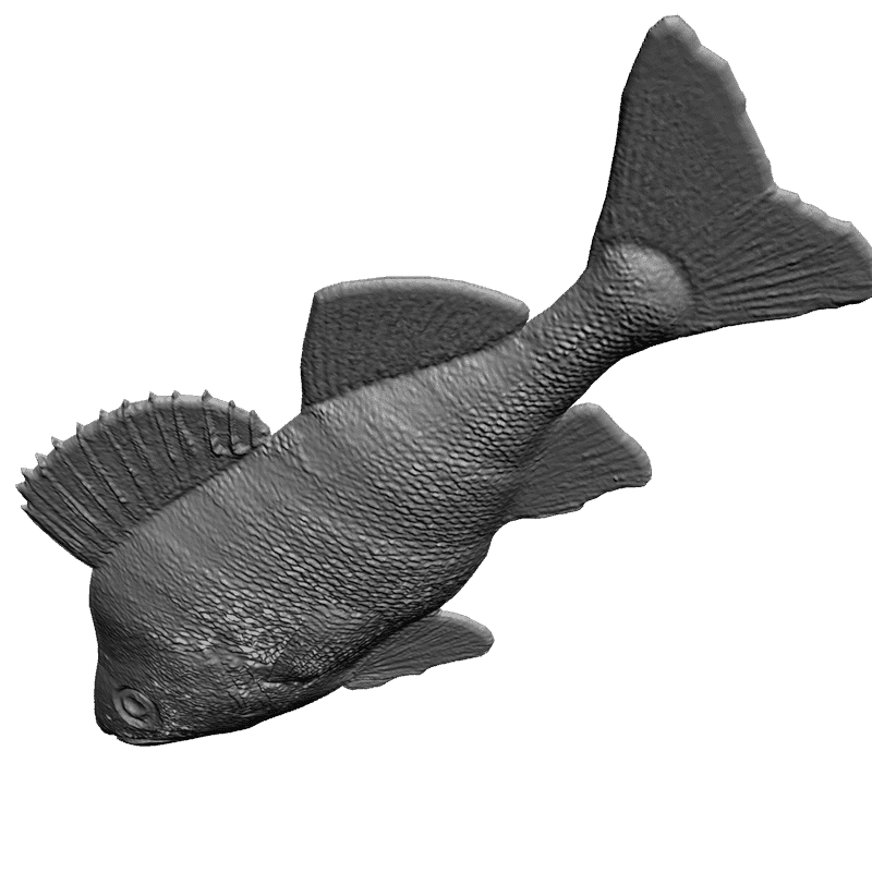 картинка Окунь F5-020 3D-STL.COM