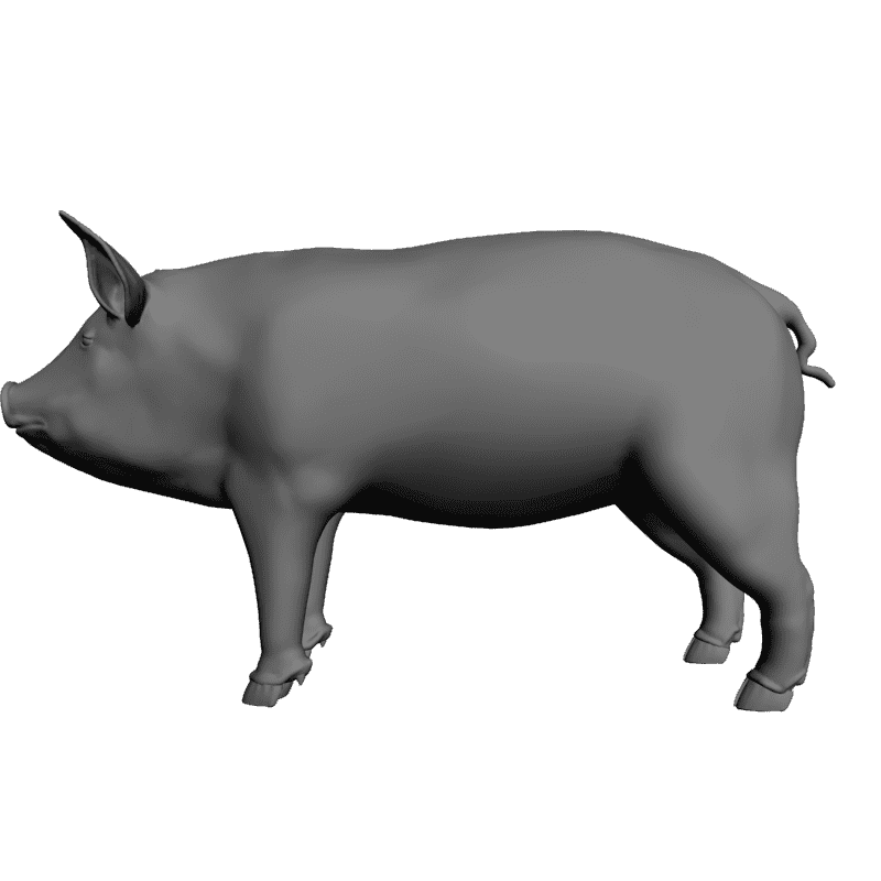 картинка Поросёнок F1-135 3D-STL.COM