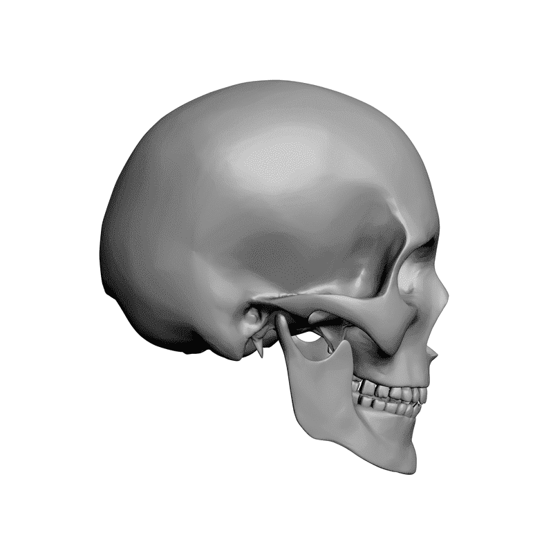 картинка Череп L5-007 3D-STL.COM