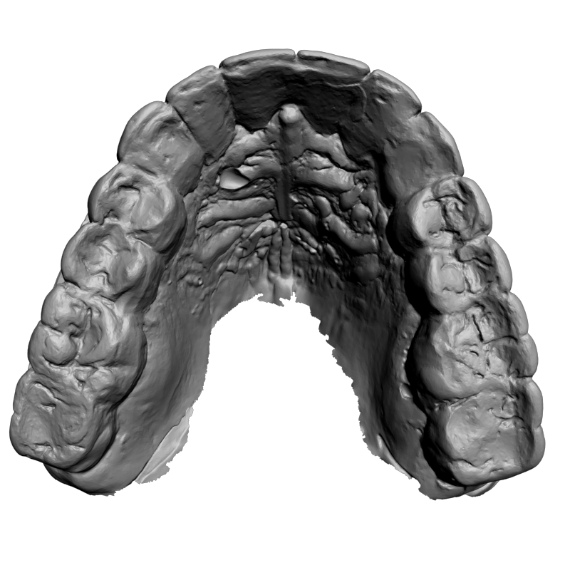 картинка Зубы L5-105 3D-STL.COM