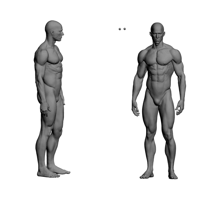 Основные модели тела. 3d модель человека для рисования. Макет тела человека. Модели людей STL. 3д модель спортсмена.