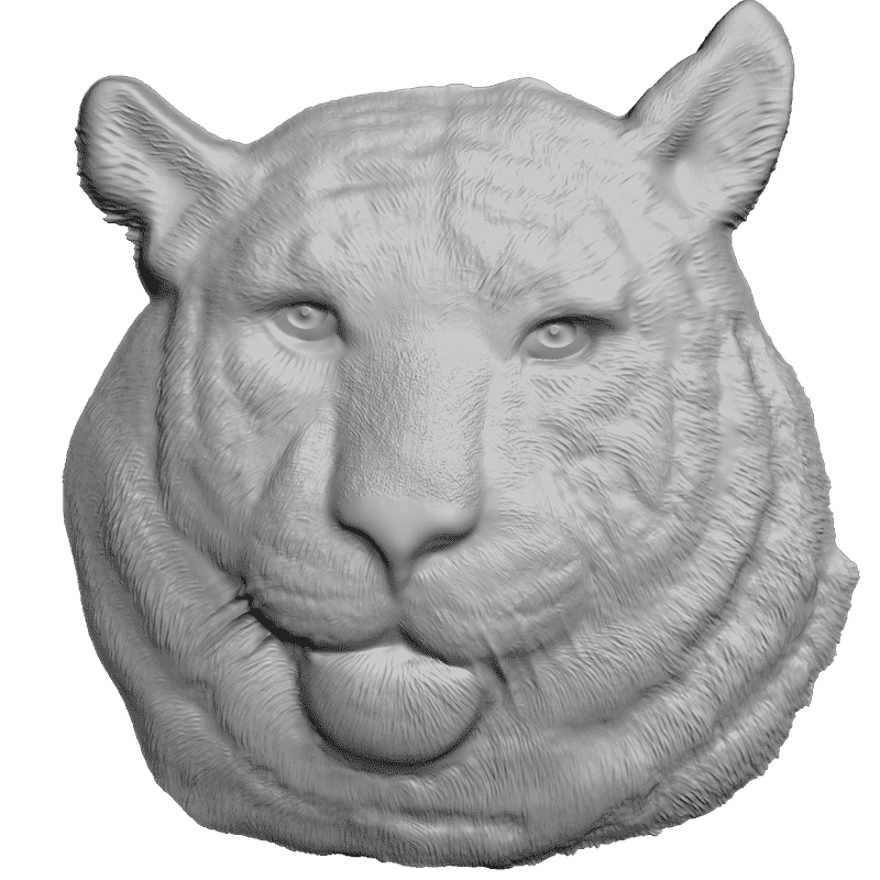 Тигр 3 2023. 3d STL тигр. Голова тигра STL. Тигр СТЛ модель. 3d морда тигра.