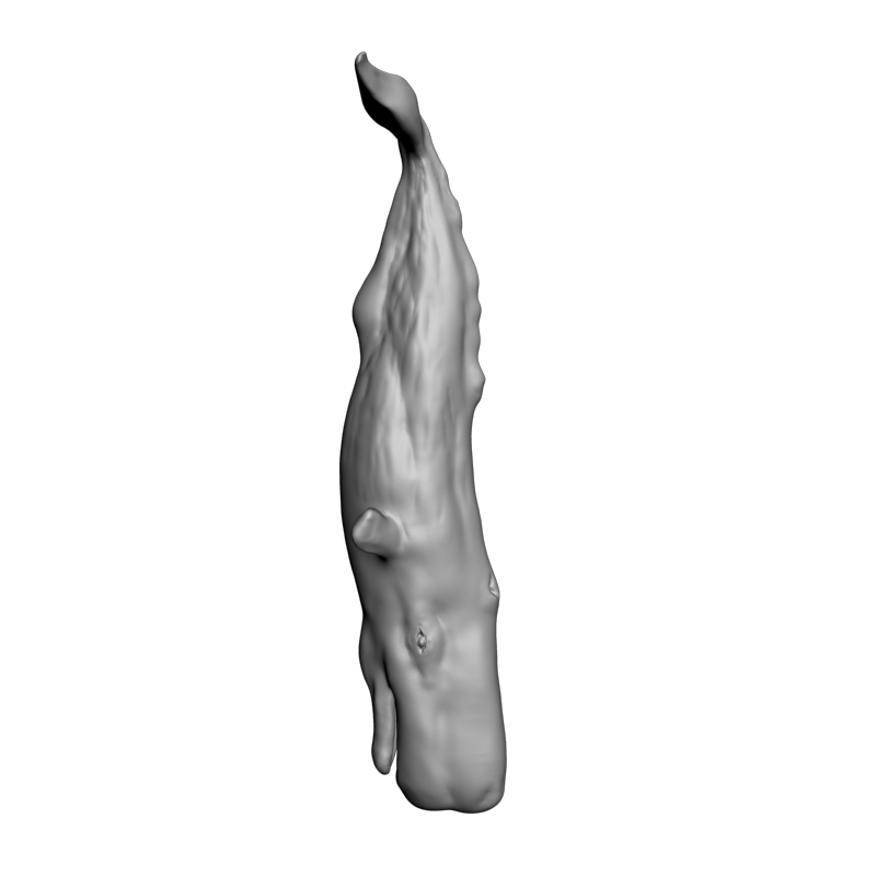 картинка Кашалот F5-057 3D-STL.COM