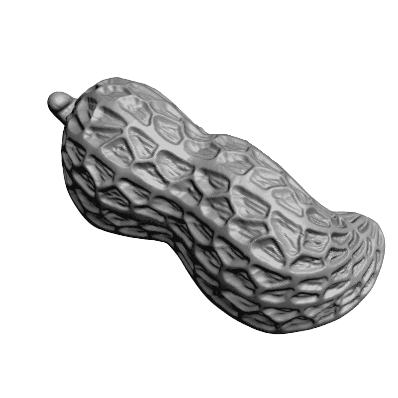 картинка Арахис F4-090 3D-STL.COM