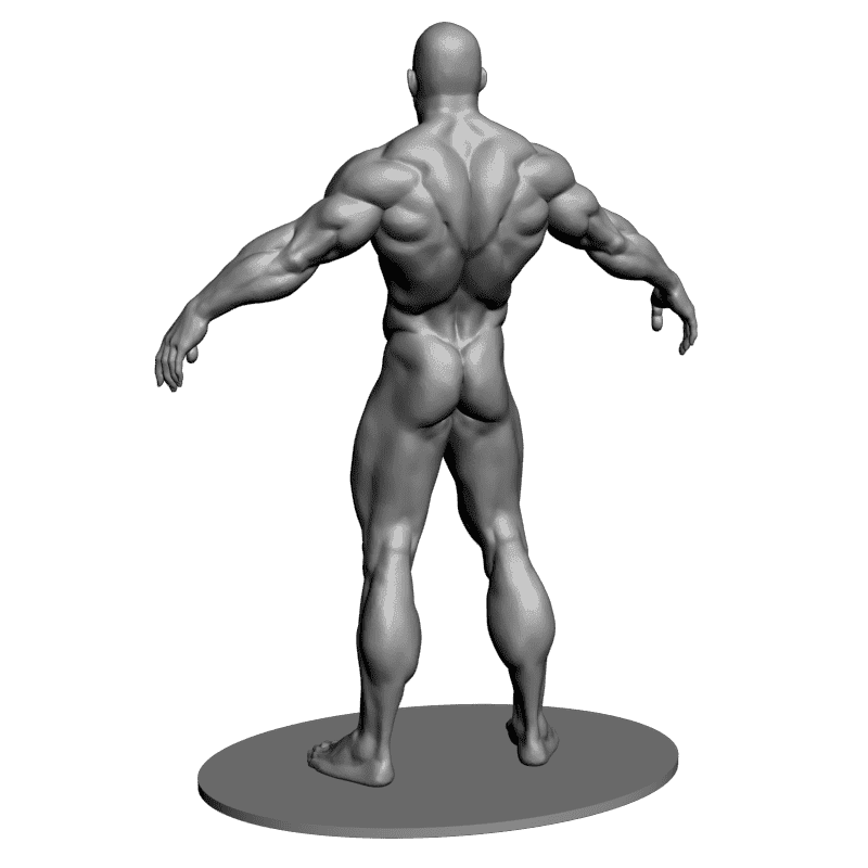 картинка Бодебилдер L3-288 3D-STL.COM