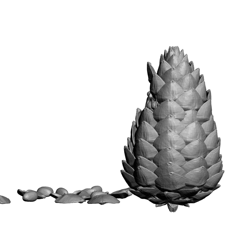 картинка Шишка F4-004 3D-STL.COM