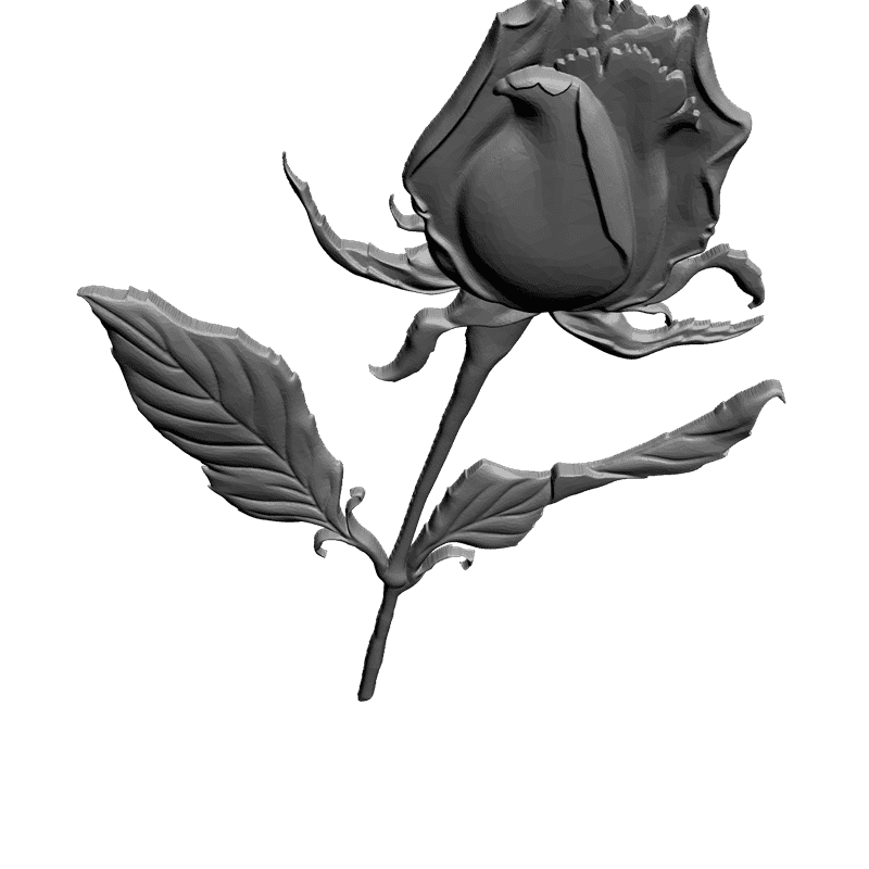 3d model rose