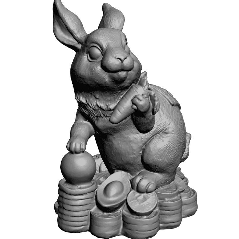 Rabbits model