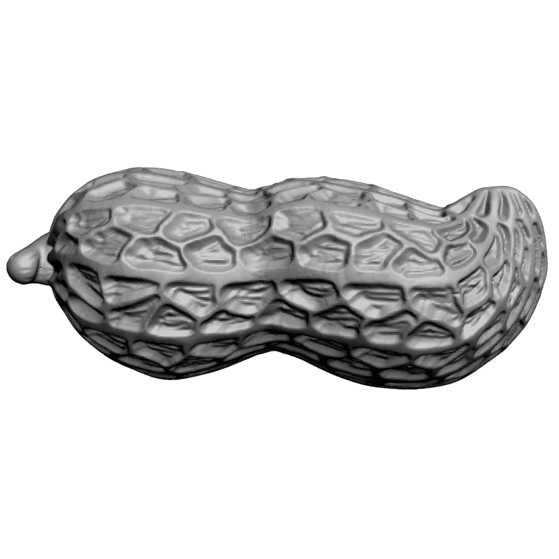 картинка Арахис F4-090 3D-STL.COM