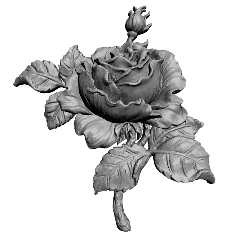 3d model rose