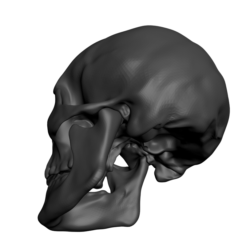 картинка Череп L5-084 3D-STL.COM