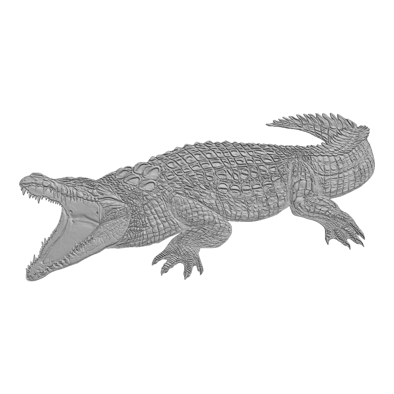картинка Крокодил F2-012 3D-STL.COM
