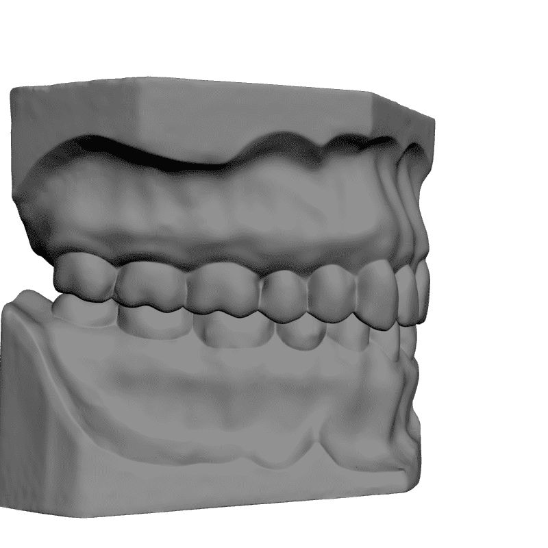 3д модель зуба. 3д модель зубов. 3d моделирование зубов.