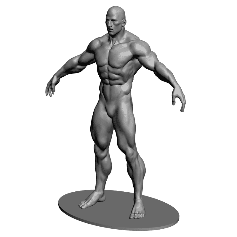 картинка Бодебилдер L3-288 3D-STL.COM