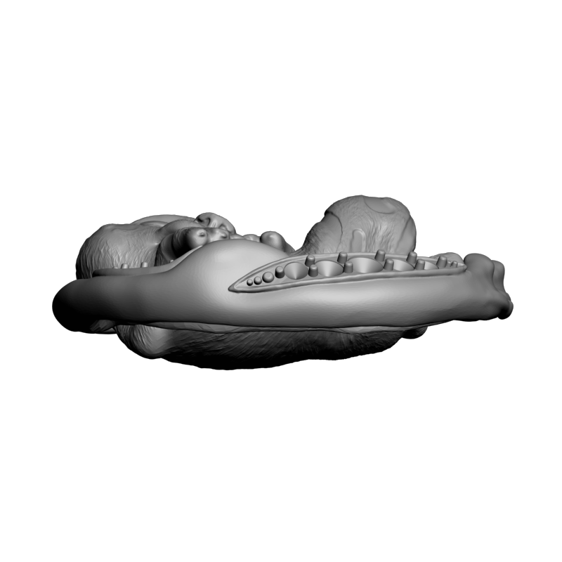 картинка Тигрёнок F1-311 3D-STL.COM