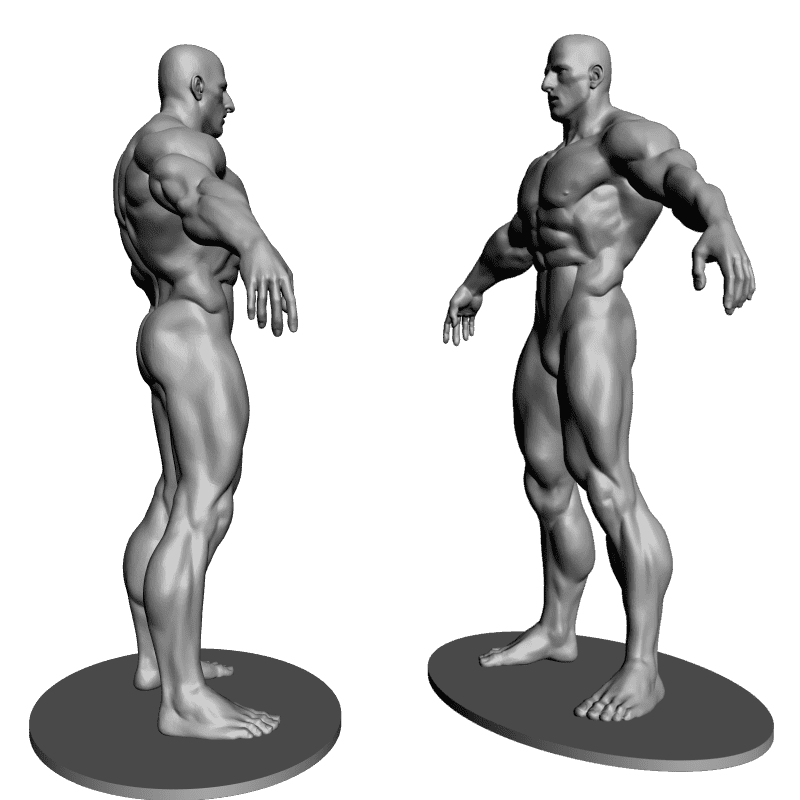 картинка Бодибилдер Атлет L3-113 3D-STL.COM