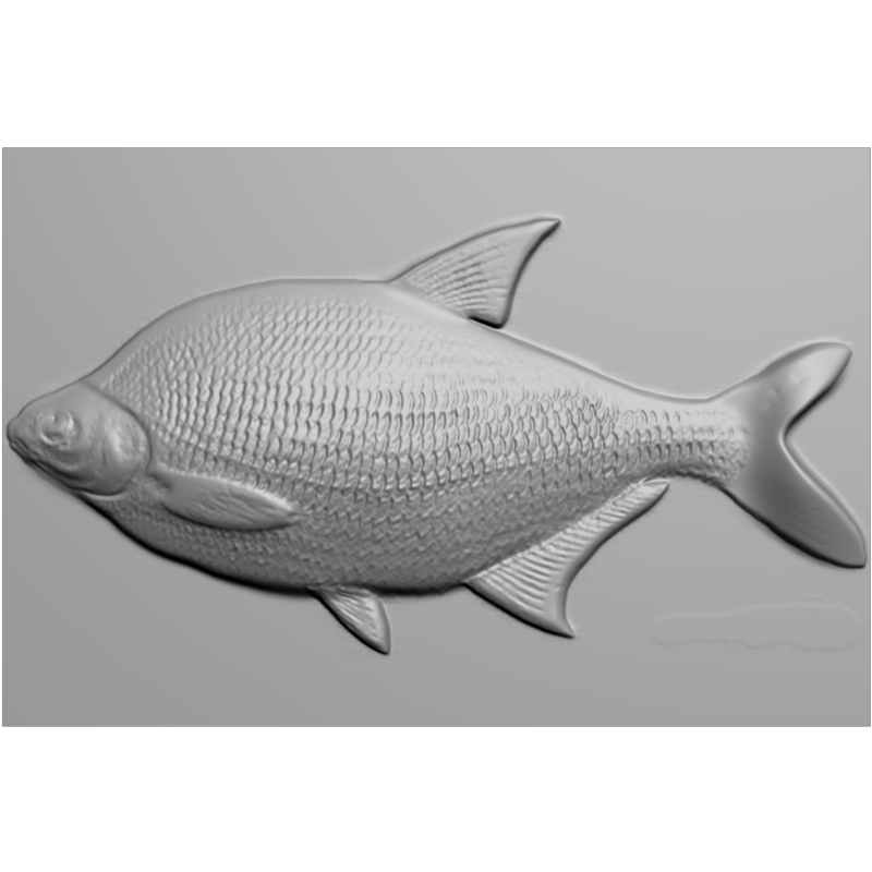 картинка Лещь F5-044 3D-STL.COM