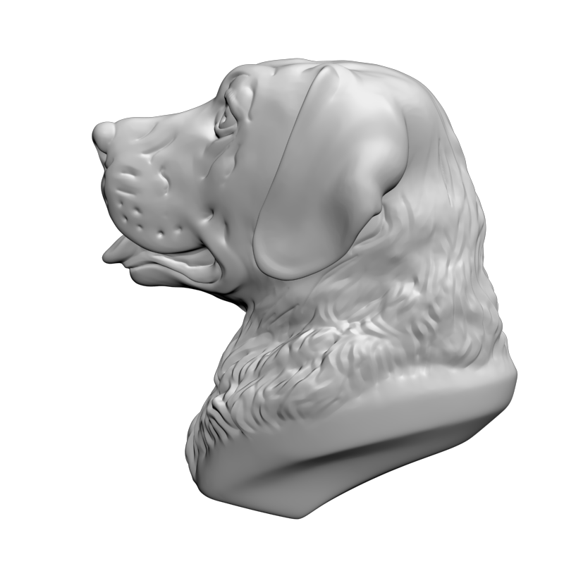 картинка Лабрадор F1-234 3D-STL.COM
