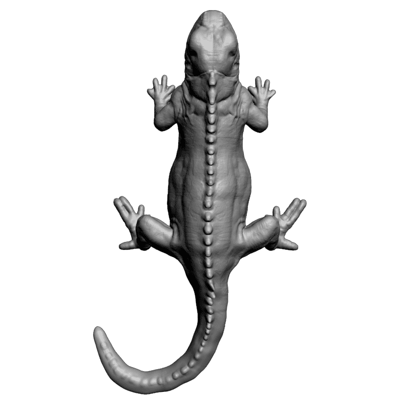 картинка Варан F2-024 3D-STL.COM