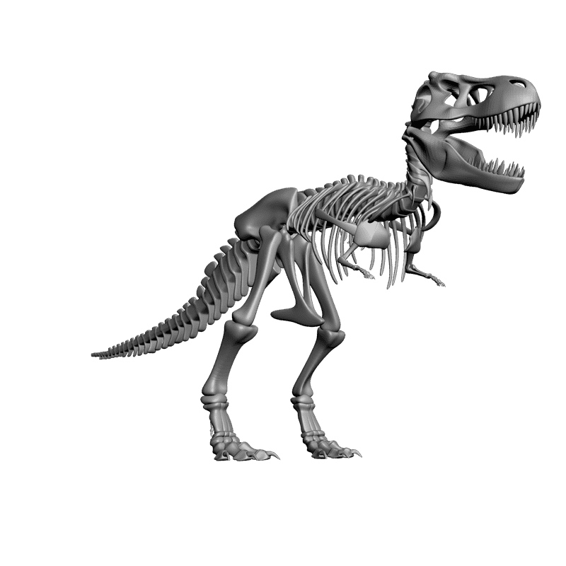 картинка Скелет динозавра F6-014 3D-STL.COM