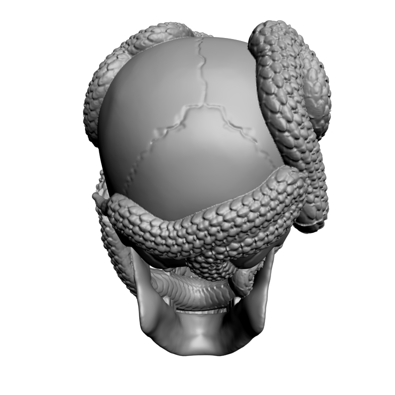 картинка Череп L5-103 3D-STL.COM