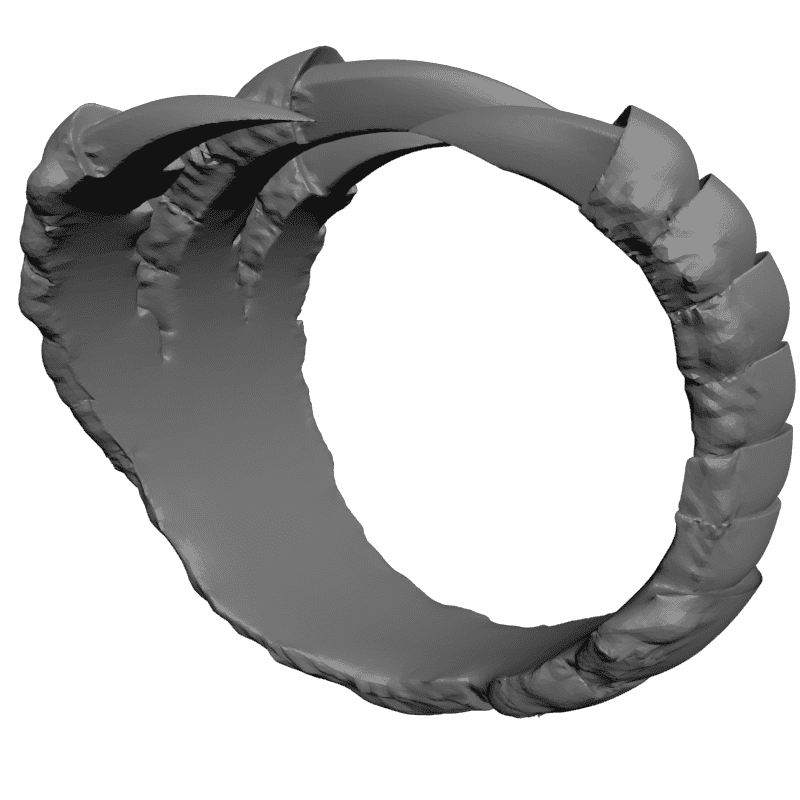 картинка Когти RY2-086 3D-STL.COM