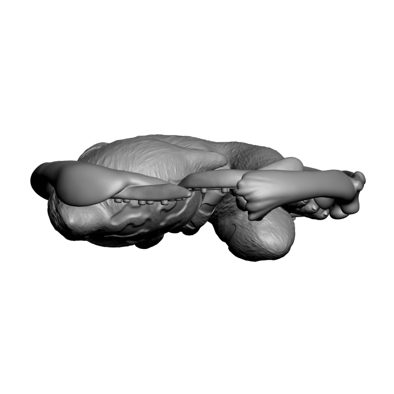 картинка Тигрёнок F1-311 3D-STL.COM