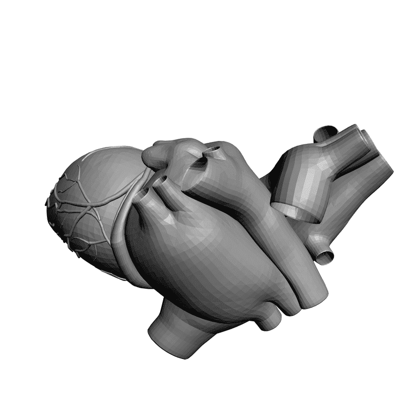 картинка Сердце L5-003 3D-STL.COM