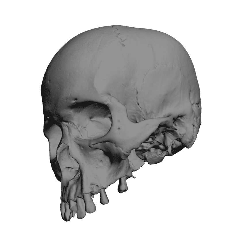 картинка Йорик Череп L5-037 3D-STL.COM