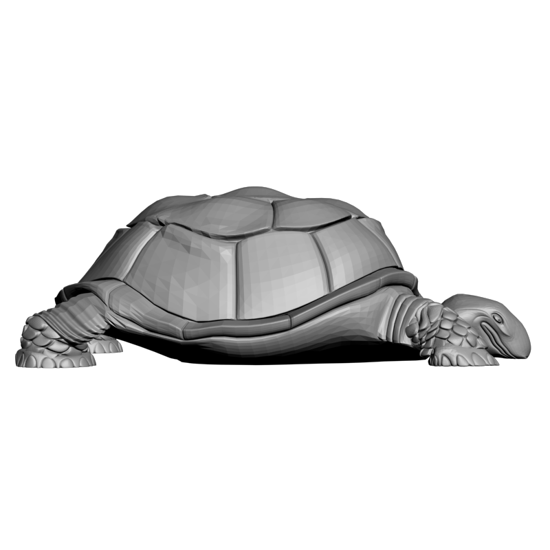 Мод черепаха. Черепаха модель. Макет черепахи. Черепаха 3d модель. Модель черепахи в управлении.