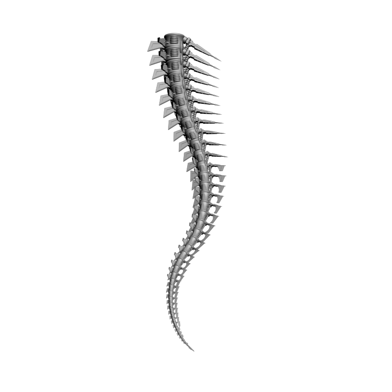 картинка Хвост Тираннозавра F6-070 3D-STL.COM