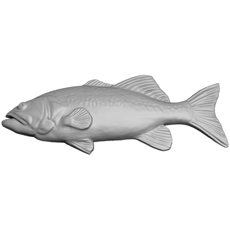 картинка Краснопёрка F5-043 3D-STL.COM