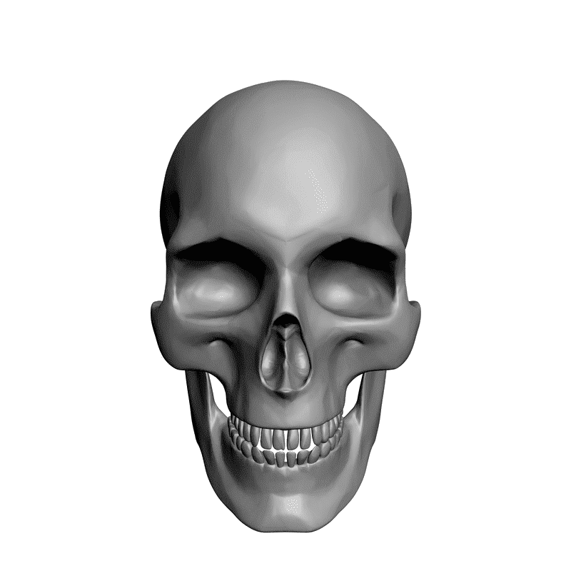 картинка Череп L5-007 3D-STL.COM
