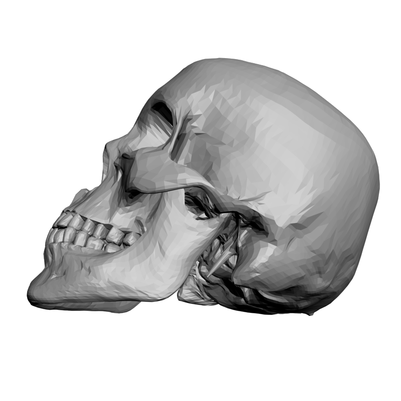 картинка Череп L5-085 3D-STL.COM