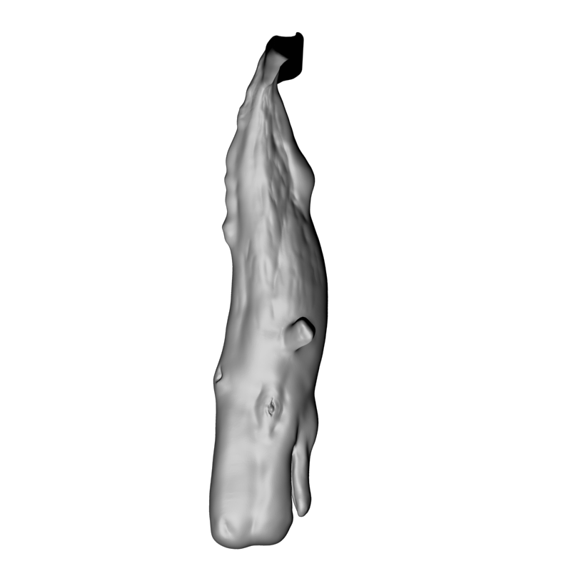 картинка Кашалот F5-057 3D-STL.COM