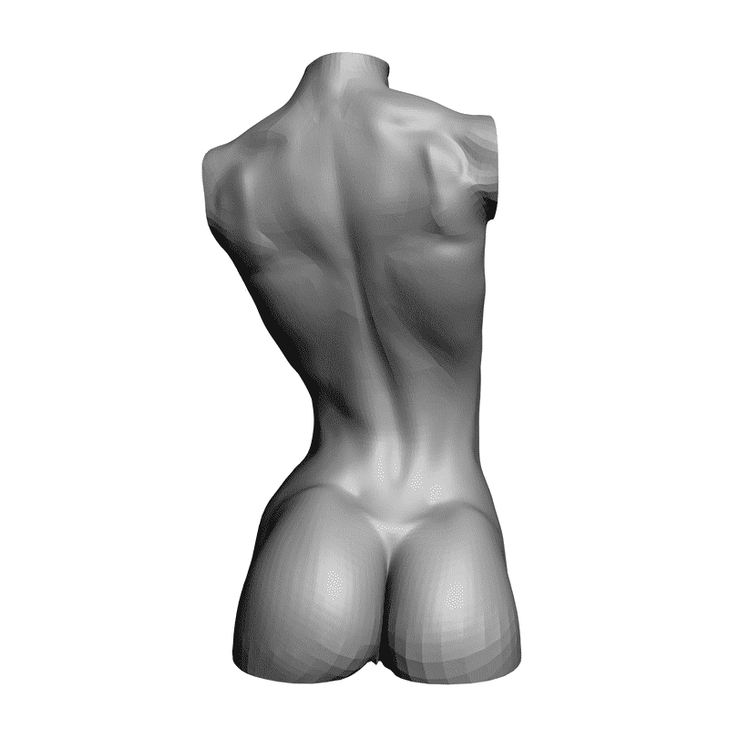 картинка Бюст девушки L5-006 3D-STL.COM