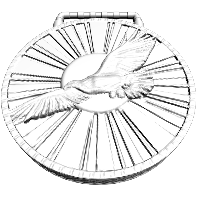 картинка Орел в лучах солнца RY5-100 3D-STL.COM