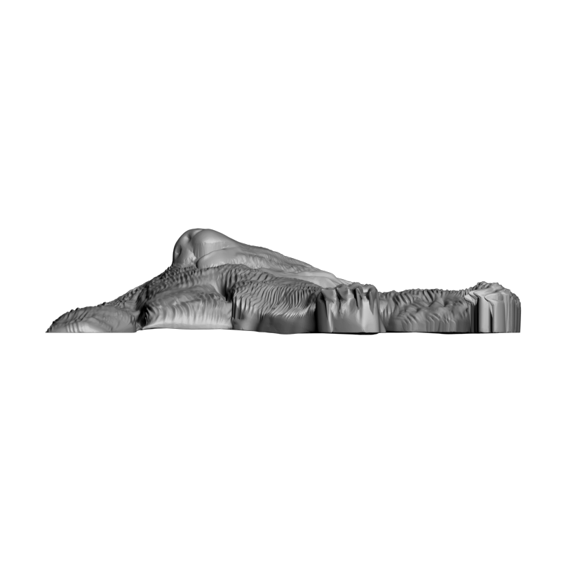 картинка Лев F1-310 3D-STL.COM
