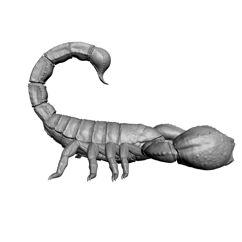 картинка Скорпион F6-059 3D-STL.COM