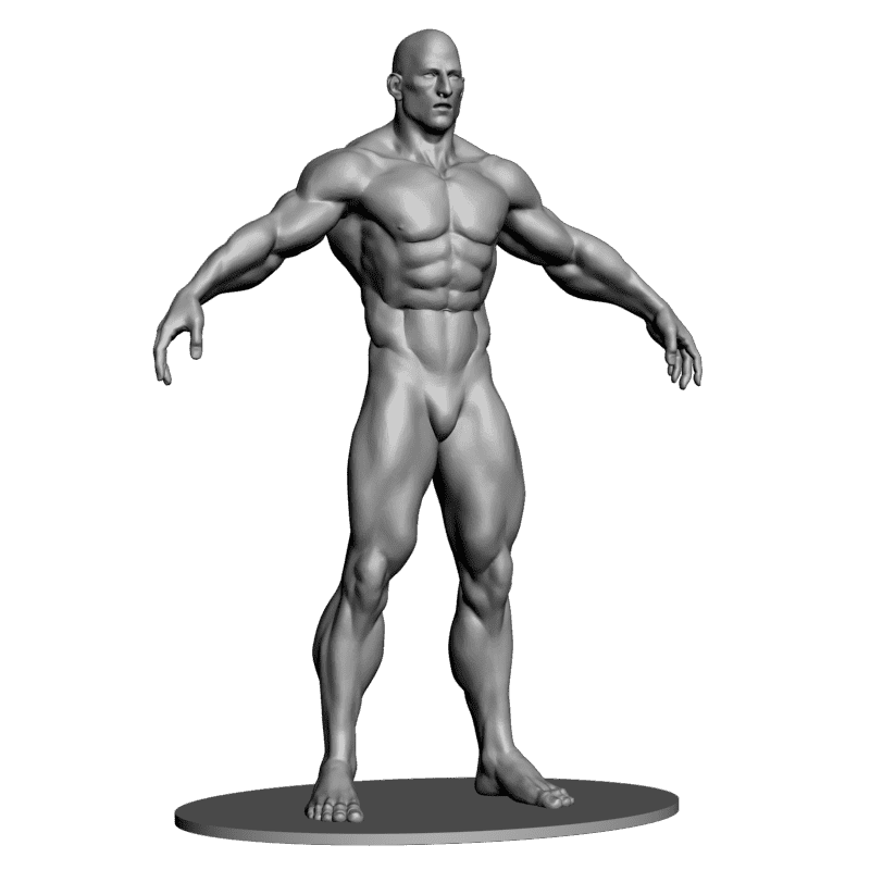 картинка Бодебилдер L3-288 3D-STL.COM