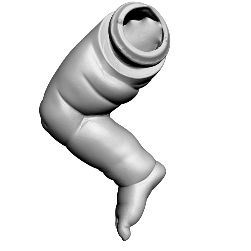 картинка Пупсик Нога PI1-365 3D-STL.COM