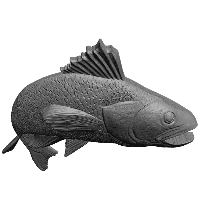 картинка Судак F5-011 3D-STL.COM
