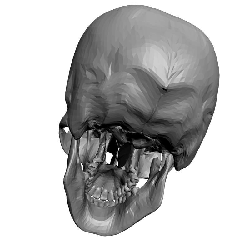 картинка Череп L5-085 3D-STL.COM