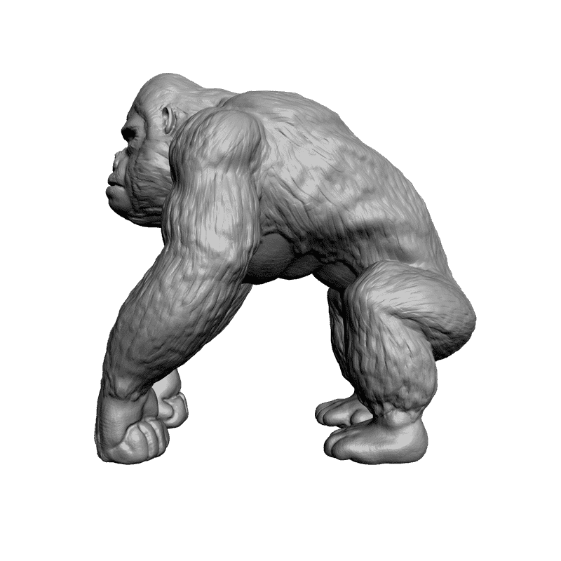 3д модель короля. Кинг Конг 3д модель. Кинг Конг 3d model gamboo. Кин Конг 3 д модель. 3d модель Кинг Конга.