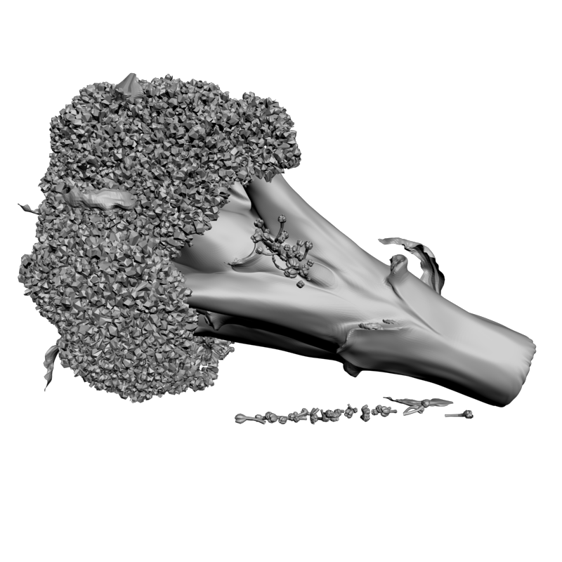 картинка Ботва F4-104 3D-STL.COM