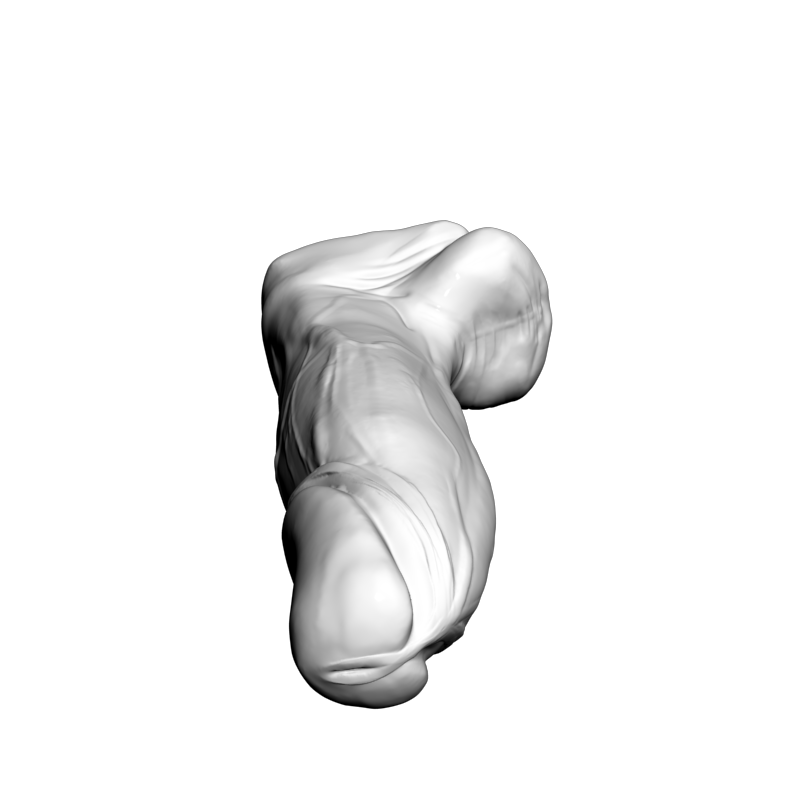 картинка ЧленL5-075 3D-STL.COM