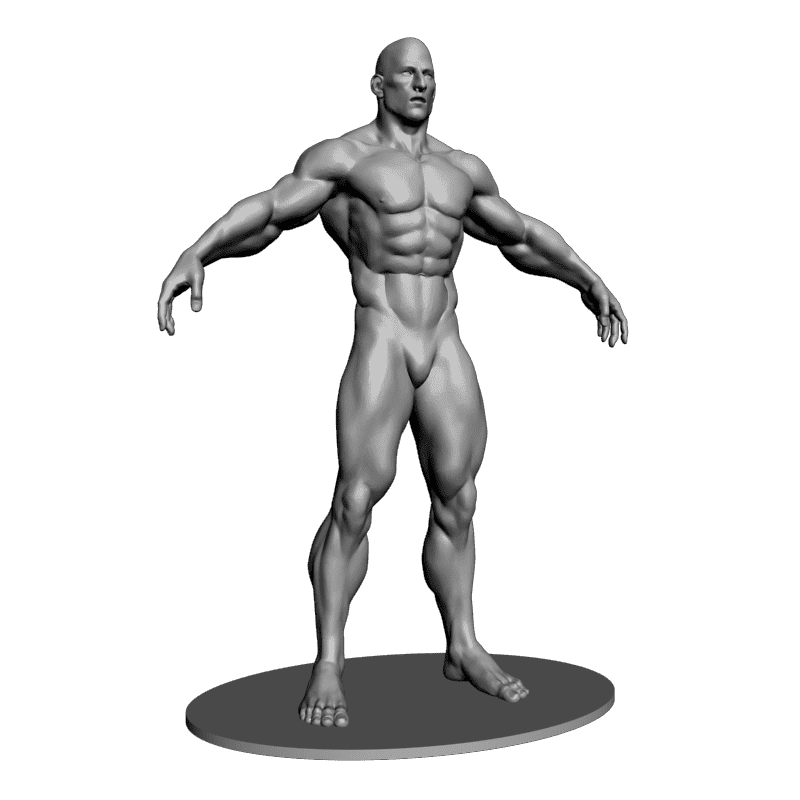 картинка Бодибилдер Атлет L3-113 3D-STL.COM