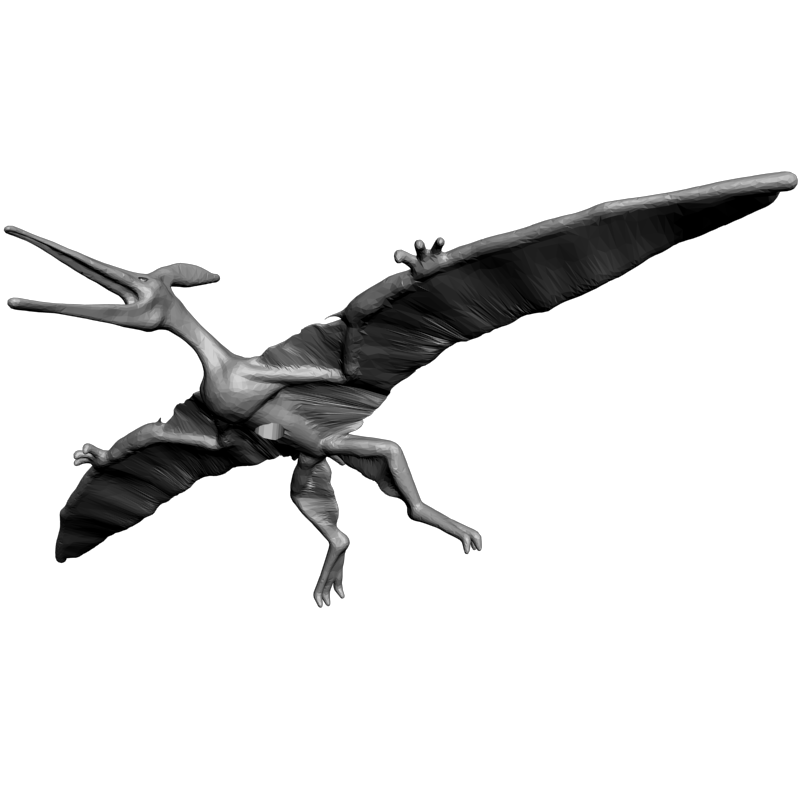 картинка Птеранодон F6-044 3D-STL.COM